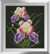 Картина из мозаики Цветущий ирис Dream Art (DA-31160, Без подрамника) — фото комплектации набора