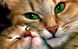 Набор алмазная мозаика Кошка с котенком ТМ Алмазная мозаика (DM-247, Без подрамника) — фото комплектации набора
