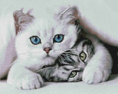 Набор алмазная мозаика Милые котики ColorArt (CLR-PSP105, На подрамнике) фото интернет-магазина Raskraski.com.ua