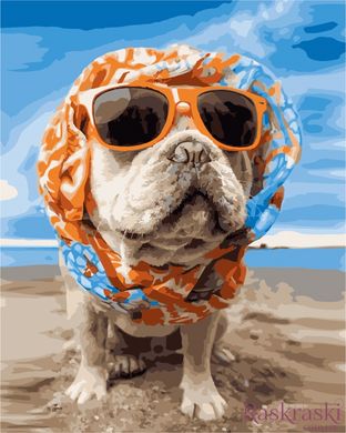 Живопись по номерам Пёс на пляже (AS1028) ArtStory фото интернет-магазина Raskraski.com.ua