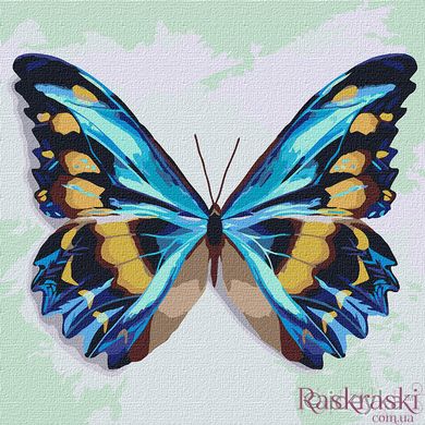 Картини за номерами Блакитний метелик (KHO4207) Идейка (Без коробки)