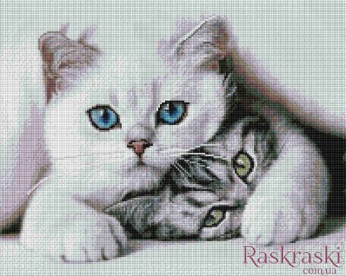 Набір алмазна мозаїка Милі котики ColorArt (CLR-PSP105) фото інтернет-магазину Raskraski.com.ua