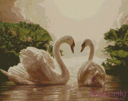 Картина алмазная вышивка Пара лебедей Идейка (AM6135, На подрамнике) фото интернет-магазина Raskraski.com.ua