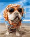 Живопис по номерам Пес на пляжі (AS1028) ArtStory — фото комплектації набору