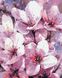 Алмазна вишивка Квітуча весна My Art (MRT-TN1184) — фото комплектації набору