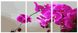 Картини за номерами Орхідея (PX5298) НикиТошка — фото комплектації набору