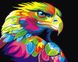 Картина по цифрам Радужный орел (BRM26195) — фото комплектации набора