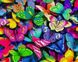 Алмазная живопись Небо в бабочках My Art (MRT-TN1124, На подрамнике) — фото комплектации набора