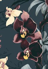 Рисование по номерам Узорчатые орхидеи (RB-0598) Riviera Blanca (Без коробки)
