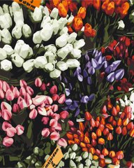 Картина за номерами Ярмарка тюльпанів (BS52646) (Без коробки)