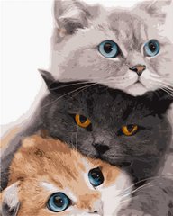 Картина за номерами Три котика (SR-VA-2834) Strateg (Без коробки)