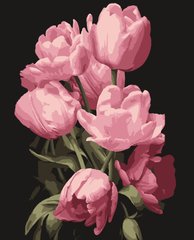Картина по номерам Тюльпаны (PN1975) Artissimo (Без коробки)