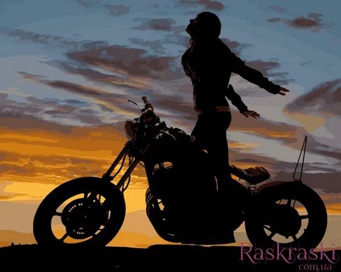 Картина по номерам Мотоциклистка (MR-Q2218) Mariposa фото интернет-магазина Raskraski.com.ua