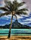 Картина по номерам На Гавайях (AS0716) ArtStory — фото комплектации набора