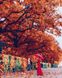 Картины по номерам Осенняя панна (BRM25391) — фото комплектации набора