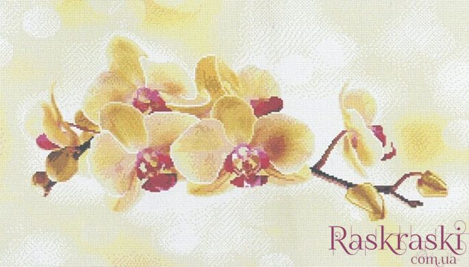 Алмазна живопис Жовта орхідея Алмазна мозаіка (OSF002) фото інтернет-магазину Raskraski.com.ua
