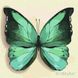 Раскраска по номерам Зеленая бабочка (KHO4208) Идейка (Без коробки)