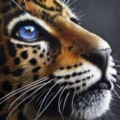 Алмазная вышивка Взгляд леопарда ТМ Алмазная мозаика (DM-399, Без подрамника) фото интернет-магазина Raskraski.com.ua