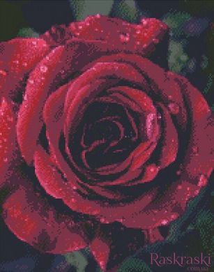Набір алмазна вишивка Роза з краплями роси Идейка (AM6019) фото інтернет-магазину Raskraski.com.ua