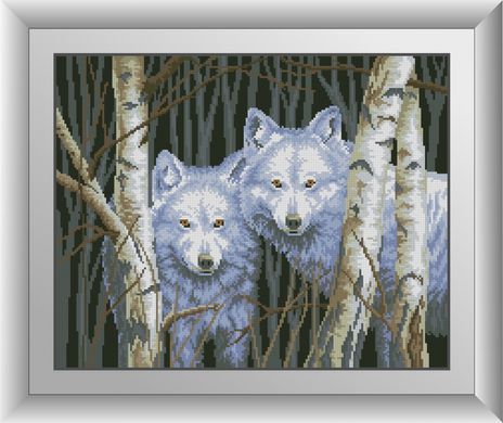 Набор алмазной мозаики Белые волки Dream Art (DA-30653, Без подрамника) 39 х 49 см фото интернет-магазина Raskraski.com.ua