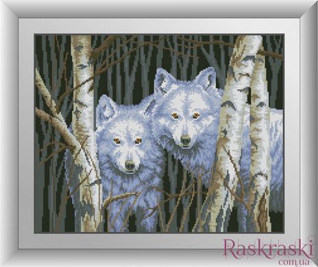 Картина из мозаики Белые волки Dream Art (DA-30653, Без подрамника) фото интернет-магазина Raskraski.com.ua