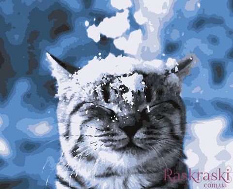 Картина по номерам Зима пришла (ART-B-4211) Artissimo фото интернет-магазина Raskraski.com.ua