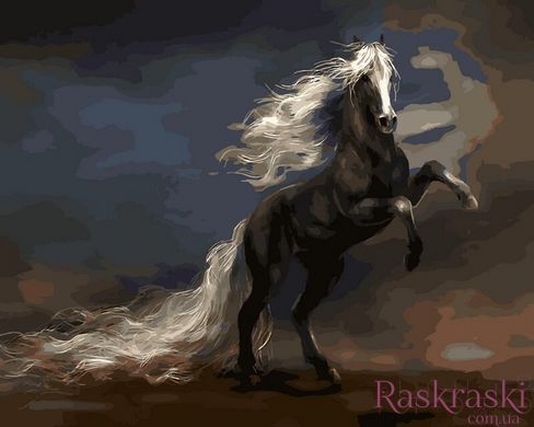 Малюнок по цифрам Дивний кінь (VP471) Babylon фото інтернет-магазину Raskraski.com.ua