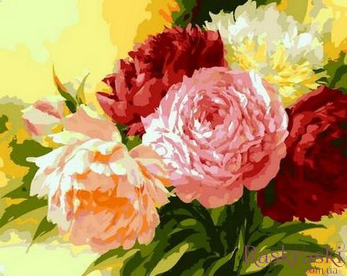Картина по номерам Пионы — шикарные цветы (MR-Q1351) Mariposa фото интернет-магазина Raskraski.com.ua