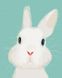 Картина по номерам Белый кролик (BRM504) — фото комплектации набора
