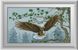 Алмазна мозаїка Орел (повна зашивання, квадратні камені) Dream Art (DA-30226) — фото комплектації набору