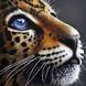 Алмазна вишивка Погляд леопарда ТМ Алмазная мозаика (DM-399) — фото комплектації набору