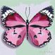 Розмальовка по номерах Рожевий метелик (KHO4209) Идейка (Без коробки)